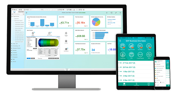 https://sunfix.ch/wp-content/uploads/2023/08/SAP-Business-One11.png