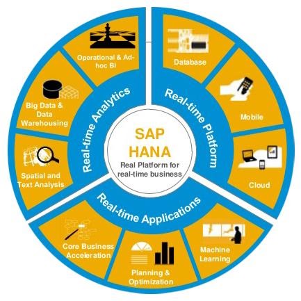 https://sunfix.ch/wp-content/uploads/2023/08/SAP-HANA.jpg